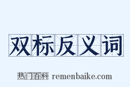 双标反义词是什么意思的图片